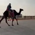 للبيع رحول مجهم