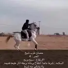 للبيع حصان