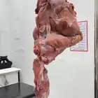 خروف كشميري. تيس. عجل. لحوم   طازجة بانتظارك.