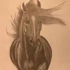 لوحات فنية