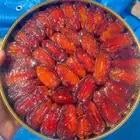 تمر صفري بيشه حبه كبير