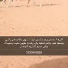خلفات وضح هدايا