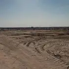 عقم حلال
