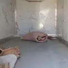 ثلاجة دينا تبريد