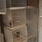 اقفاص601
