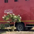 عربه نقل خيل متواجده  بجدة