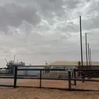 للبيع شبك ابل بالطوقي