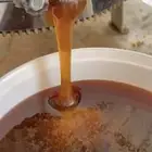 عسل سمرة بيشه مضمون ومشروط