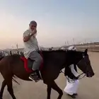 عروض و ايجار خيول بالساعه و اليوم