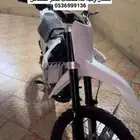 دباب صحراوي مهدي