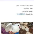 للبيع فروخ فرنسي الحبه ب 10ريال ب الدوادمي