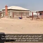 شبك في سوق البل للاجار