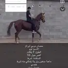 حصان عربي