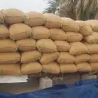 ذرة حمراء جيزاني بيش