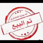 دجاج بلدي شهرين