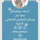 فندقة قطط الشرقية