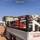 دنه ونش هيدروليك