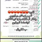 دورات انشتاين تدريب وتاسيس ولفظي ايهاب تدريب وفي ورقي