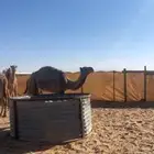حشو لللبيع تفريد