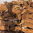 صندوق هايلوكس