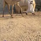 هجن