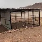 شبك