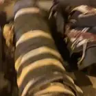 خيمه بيت شعر 4 في 7