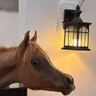 مهر كفو عربي اصيل بوراق جاهزه للنقل