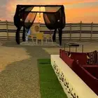 مخيمات الوتين للاجار اليومي