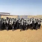 معزا عوارض صنف