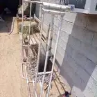 شد هايلكس للبيع