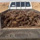 للبيع هايلوكس