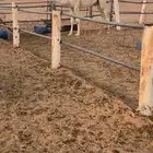 قعود رماني على فهيان الفصام