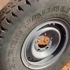 جنوط جيب ربع اصليه عدد 5 بكفراتها الكفر 4 صيني ووحده اصلي