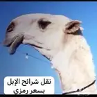 نقل شرائح