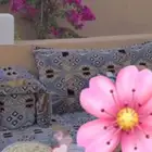 جلسات ارضيه