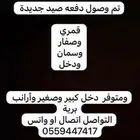 دددخخللل وقمنيري