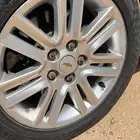 جنوط كابرس