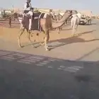 رحول حمرا طوع