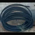 هوز على السوم