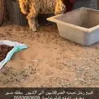 رخل نعيميه