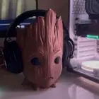 ديزني غروت بي سي