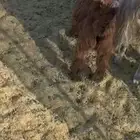 تبوك طريق المدينه