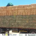 رودس وتبن قمح