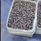 تمر خام خضري