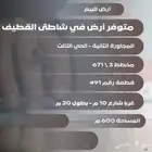 القطيف   حي شاطي