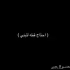 ابغى قطه لتبني