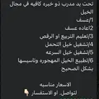 مدرب خيل ذو خبرة كافية