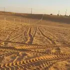 تركيب شبوك