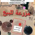 مزرعة للبيع على أربع شوارع قريبة من الشارع العام